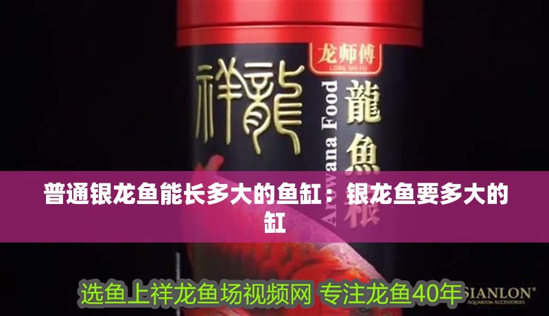 普通銀龍魚能長多大的魚缸：銀龍魚要多大的缸