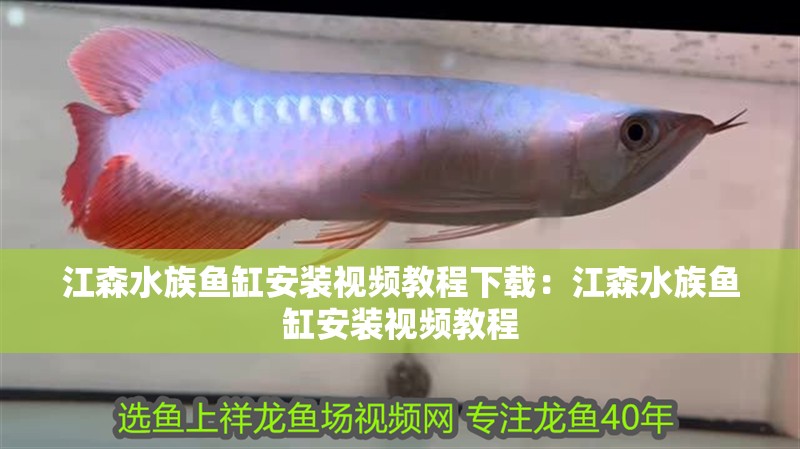 江森水族魚缸安裝視頻教程下載：江森水族魚缸安裝視頻教程