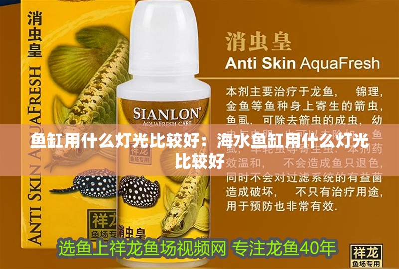 魚缸用什么燈光比較好：海水魚缸用什么燈光比較好