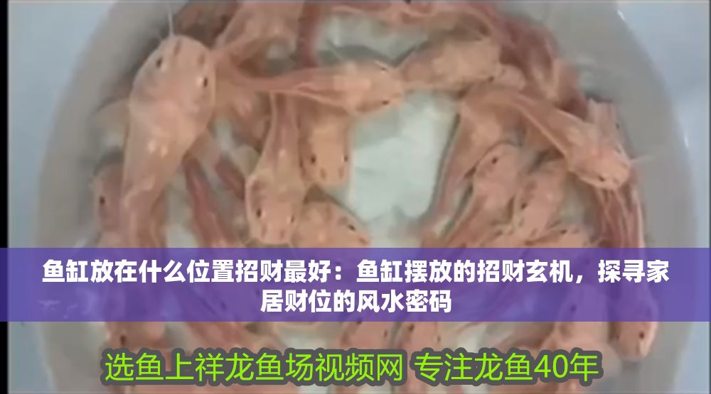 魚缸放在什么位置招財最好：魚缸擺放的招財玄機(jī)，探尋家居財位的風(fēng)水密碼