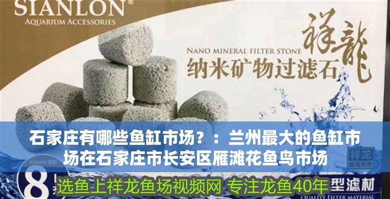 石家莊有哪些魚缸市場？：蘭州最大的魚缸市場在石家莊市長安區(qū)雁灘花魚鳥市場 石家莊有哪些魚缸市場？：蘭州最大的魚缸市場在石家莊市長安區(qū)雁灘花魚鳥市場 魚缸百科
