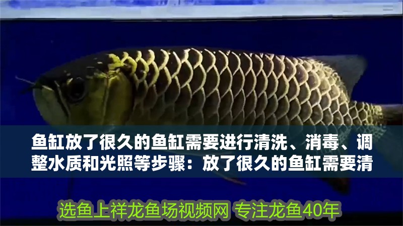 魚缸放了很久的魚缸需要進(jìn)行清洗、消毒、調(diào)整水質(zhì)和光照等步驟：放了很久的魚缸需要清洗嗎？