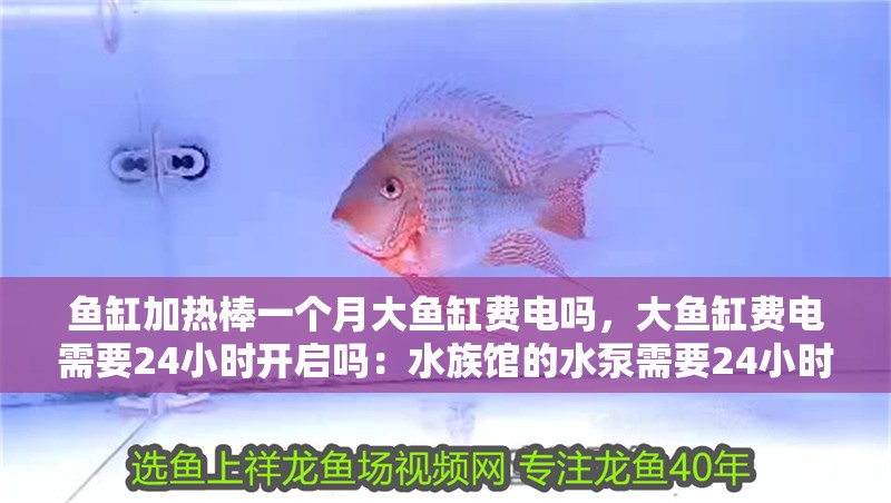 魚缸加熱棒一個月大魚缸費電嗎，大魚缸費電需要24小時開啟嗎：水族館的水泵需要24小時開啟水族館的水泵有哪些選擇