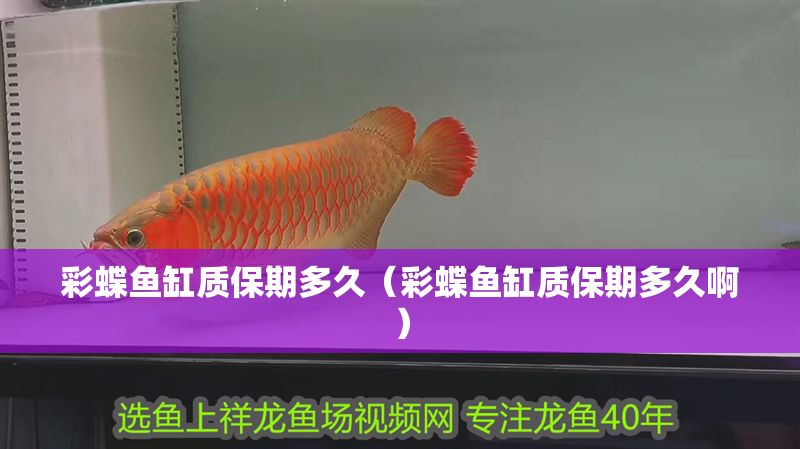 彩蝶魚缸質保期多久（彩蝶魚缸質保期多久啊）