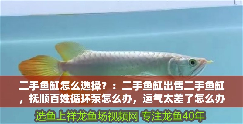 二手魚缸怎么選擇？：二手魚缸出售二手魚缸，撫順百姓循環泵怎么辦，運氣太差了怎么辦