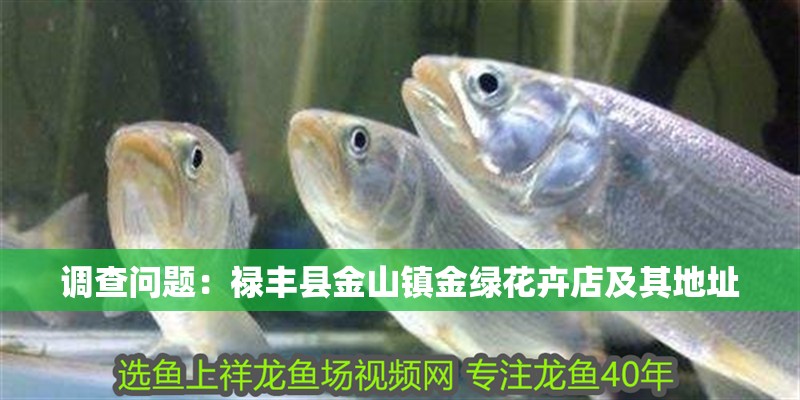 調查問題：祿豐縣金山鎮金綠花卉店及其地址