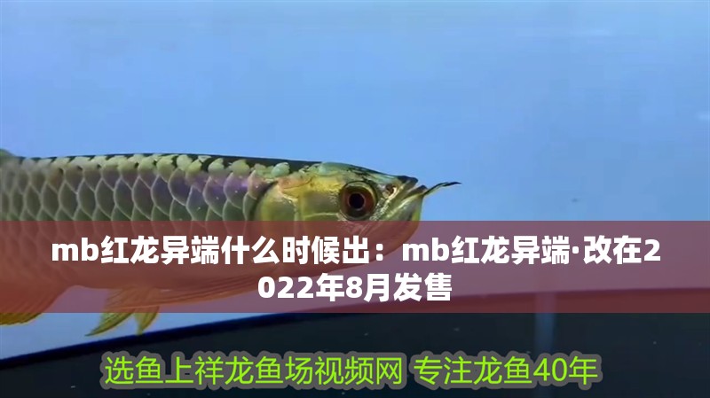 mb紅龍異端什么時候出：mb紅龍異端·改在2022年8月發(fā)售