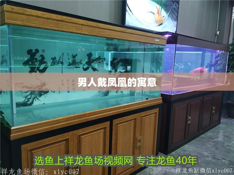 男人戴鳳凰的寓意