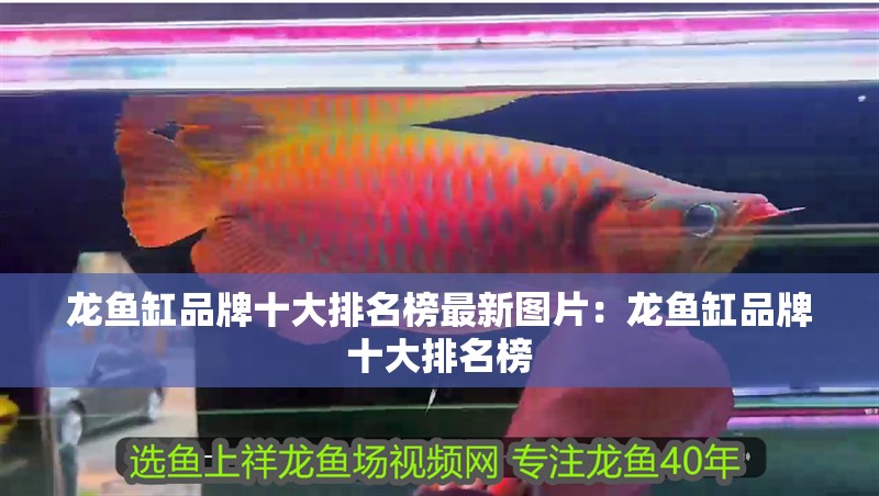龍魚缸品牌十大排名榜最新圖片：龍魚缸品牌十大排名榜