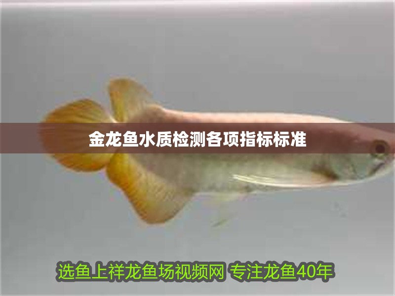金龍魚水質檢測各項指標標準