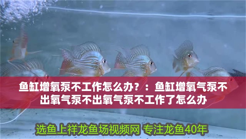 魚缸增氧泵不工作怎么辦？：魚缸增氧氣泵不出氧氣泵不出氧氣泵不工作了怎么辦