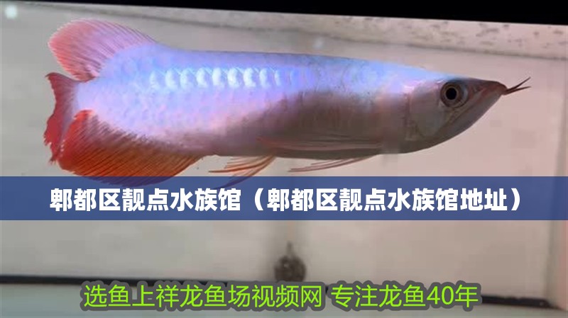 郫都區(qū)靚點(diǎn)水族館（郫都區(qū)靚點(diǎn)水族館地址）