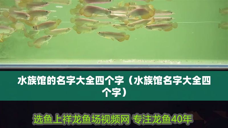 水族館的名字大全四個(gè)字（水族館名字大全四個(gè)字）