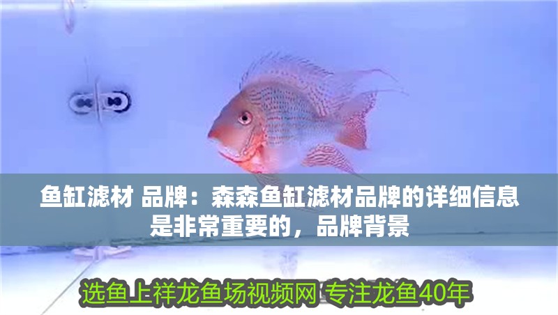 魚缸濾材 品牌：森森魚缸濾材品牌的詳細(xì)信息是非常重要的，品牌背景