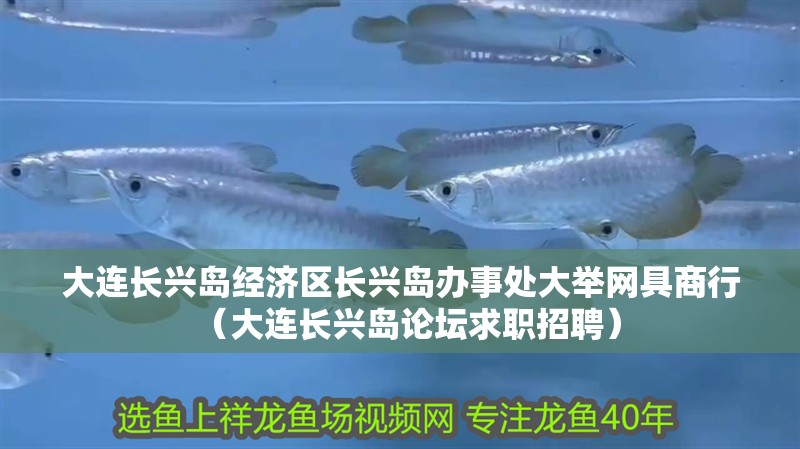 大連長興島經(jīng)濟區(qū)長興島辦事處大舉網(wǎng)具商行（大連長興島論壇求職招聘）