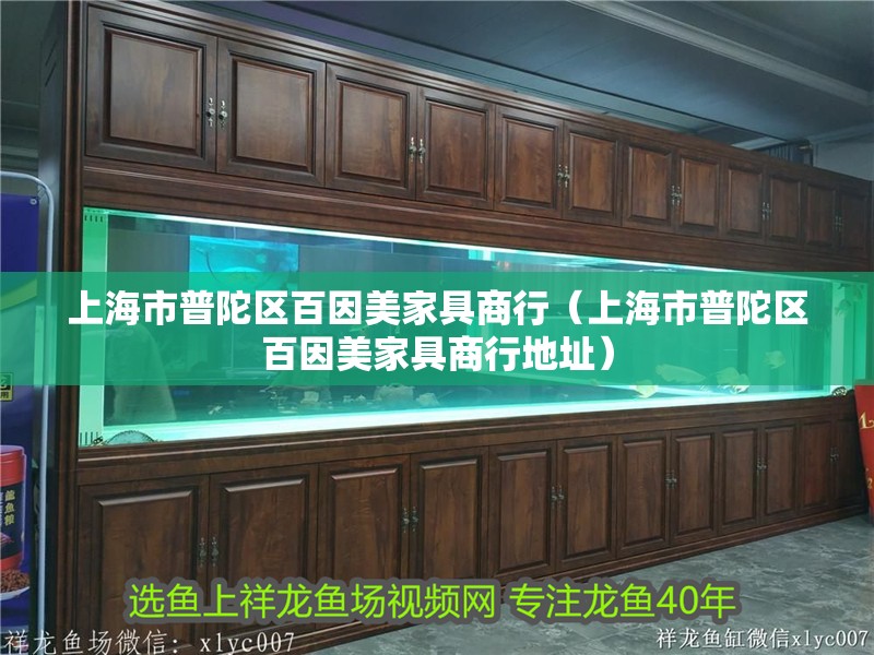 上海市普陀區(qū)百因美家具商行（上海市普陀區(qū)百因美家具商行地址）
