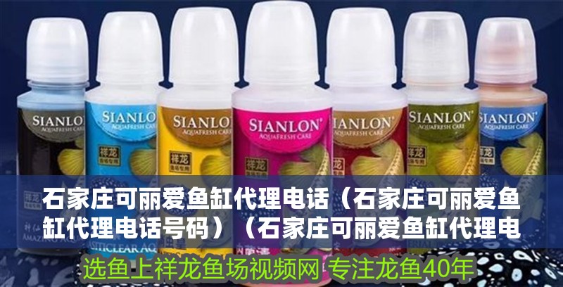 石家莊可麗愛魚缸代理電話（石家莊可麗愛魚缸代理電話號碼）（石家莊可麗愛魚缸代理電話~森森魚缸排行榜）