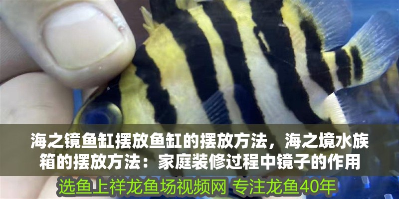 海之鏡魚缸擺放魚缸的擺放方法，海之境水族箱的擺放方法：家庭裝修過程中鏡子的作用