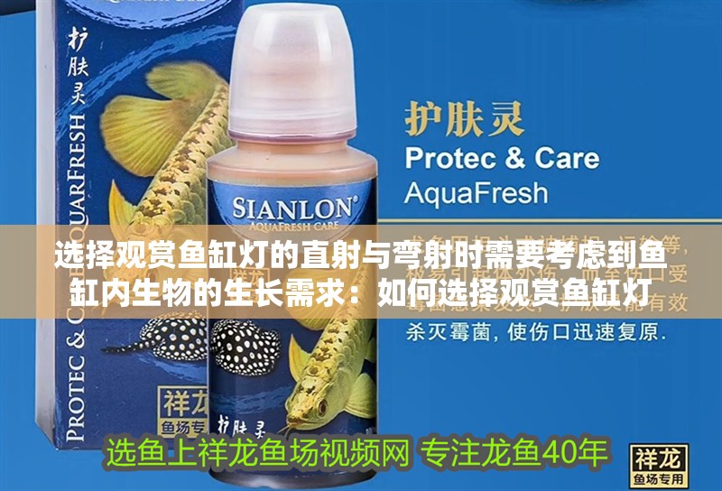 選擇觀賞魚缸燈的直射與彎射時需要考慮到魚缸內生物的生長需求：如何選擇觀賞魚缸燈