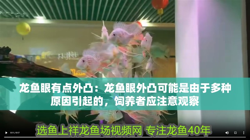 龍魚眼有點(diǎn)外凸：龍魚眼外凸可能是由于多種原因引起的，飼養(yǎng)者應(yīng)注意觀察