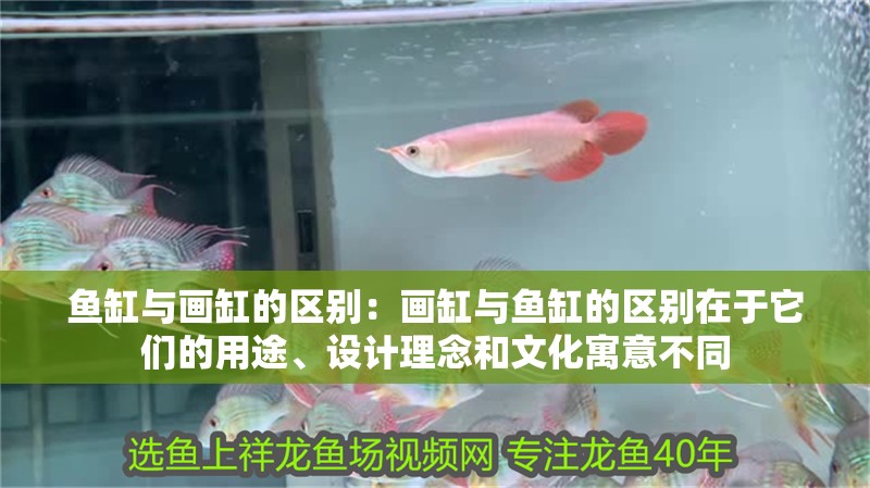 魚缸與畫缸的區別：畫缸與魚缸的區別在于它們的用途、設計理念和文化寓意不同