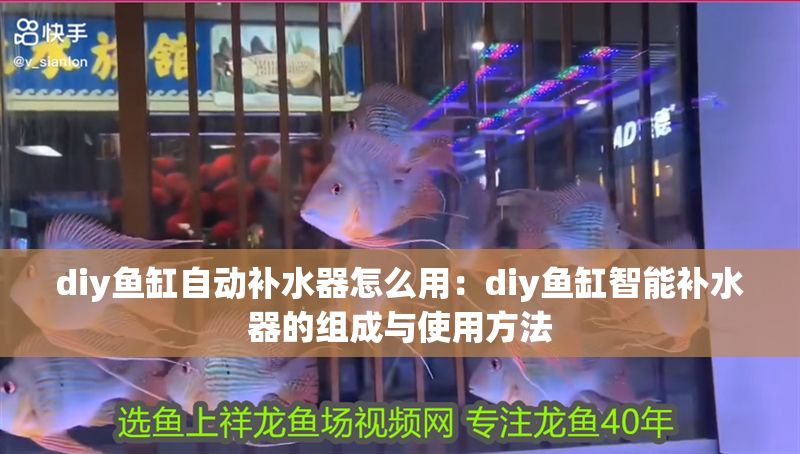 diy魚缸自動補水器怎么用：diy魚缸智能補水器的組成與使用方法