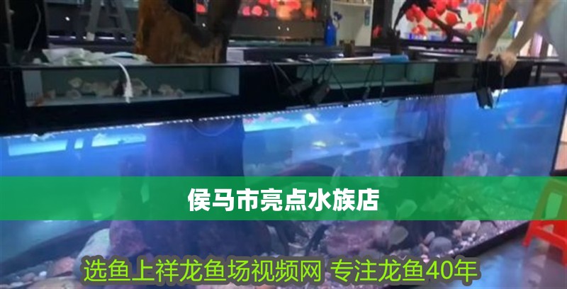 侯馬市亮點水族店