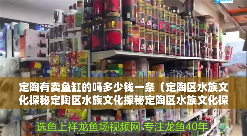 定陶有賣魚缸的嗎多少錢一條（定陶區水族文化探秘定陶區水族文化探秘定陶區水族文化探秘）