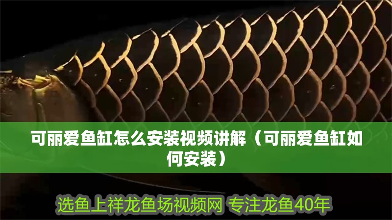 可麗愛魚缸怎么安裝視頻講解（可麗愛魚缸如何安裝）