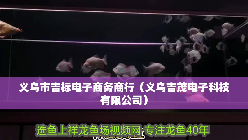 義烏市吉標電子商務商行（義烏吉茂電子科技有限公司）