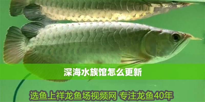 深海水族館怎么更新