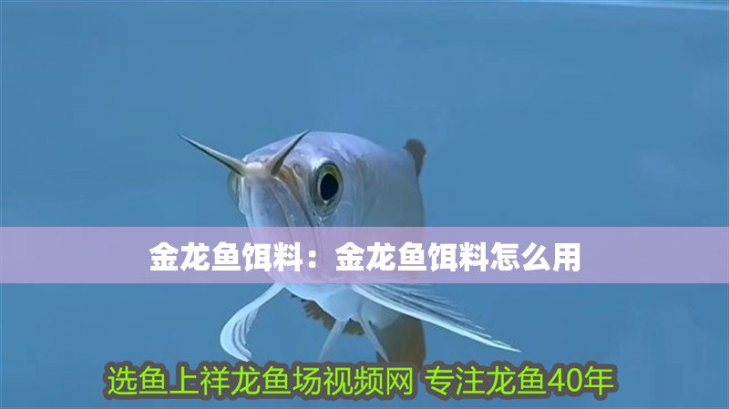 金龍魚餌料：金龍魚餌料怎么用