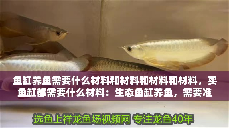 魚缸養魚需要什么材料和材料和材料和材料，買魚缸都需要什么材料：生態魚缸養魚，需要準備哪些裝備