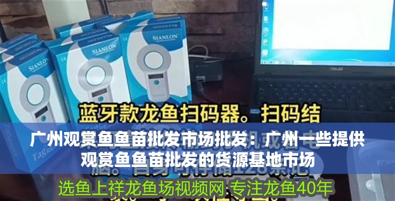 廣州觀賞魚魚苗批發市場批發：廣州一些提供觀賞魚魚苗批發的貨源基地市場