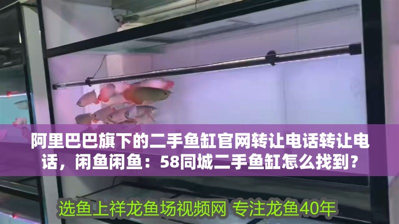 阿里巴巴旗下的二手魚缸官網轉讓電話轉讓電話，閑魚閑魚：58同城二手魚缸怎么找到？