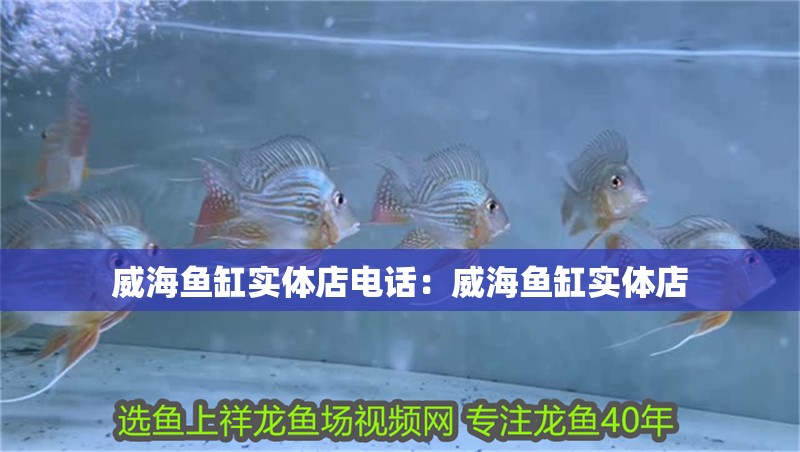 威海魚缸實體店電話：威海魚缸實體店