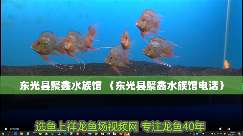 東光縣聚鑫水族館 （東光縣聚鑫水族館電話）
