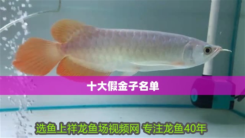 十大假金子名單 十大假金子名單 龍魚論壇