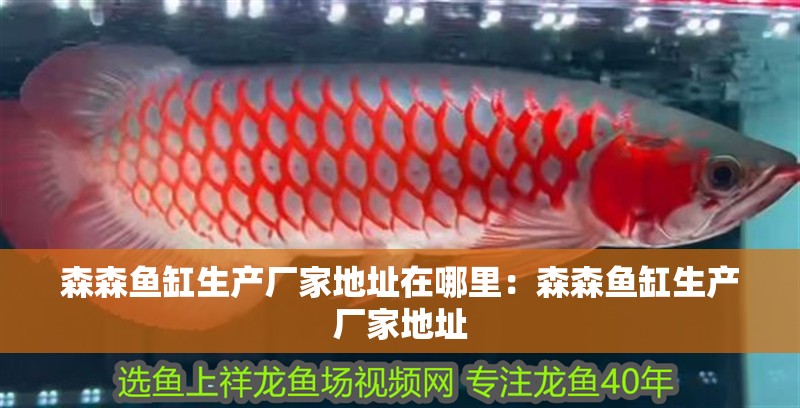森森魚缸生產(chǎn)廠家地址在哪里：森森魚缸生產(chǎn)廠家地址
