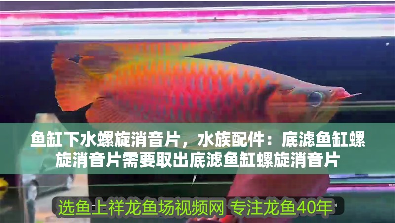 魚缸下水螺旋消音片，水族配件：底濾魚缸螺旋消音片需要取出底濾魚缸螺旋消音片