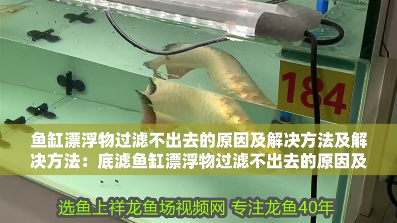 魚缸漂浮物過濾不出去的原因及解決方法及解決方法：底濾魚缸漂浮物過濾不出去的原因及解決方法
