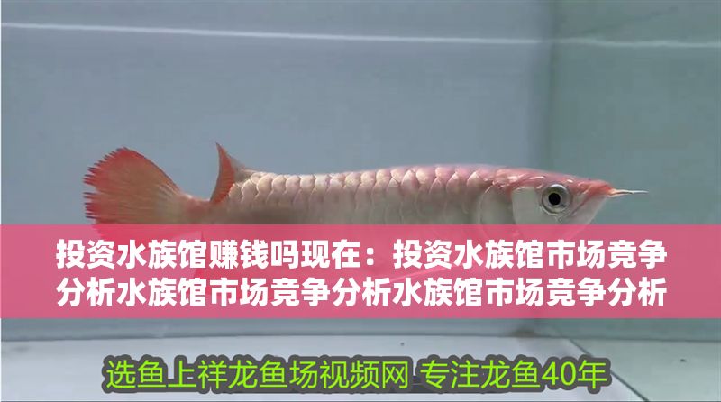 投資水族館賺錢嗎現在：投資水族館市場競爭分析水族館市場競爭分析水族館市場競爭分析