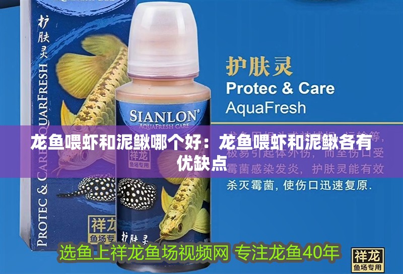 龍魚喂蝦和泥鰍哪個好：龍魚喂蝦和泥鰍各有優缺點