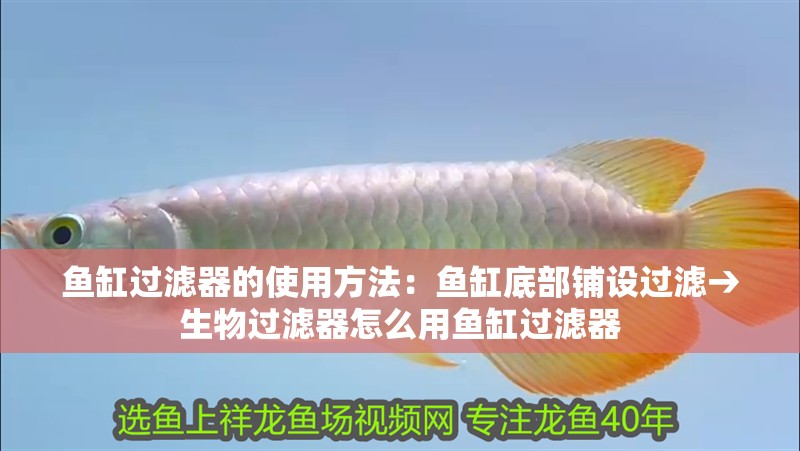 魚(yú)缸過(guò)濾器的使用方法：魚(yú)缸底部鋪設(shè)過(guò)濾→生物過(guò)濾器怎么用魚(yú)缸過(guò)濾器