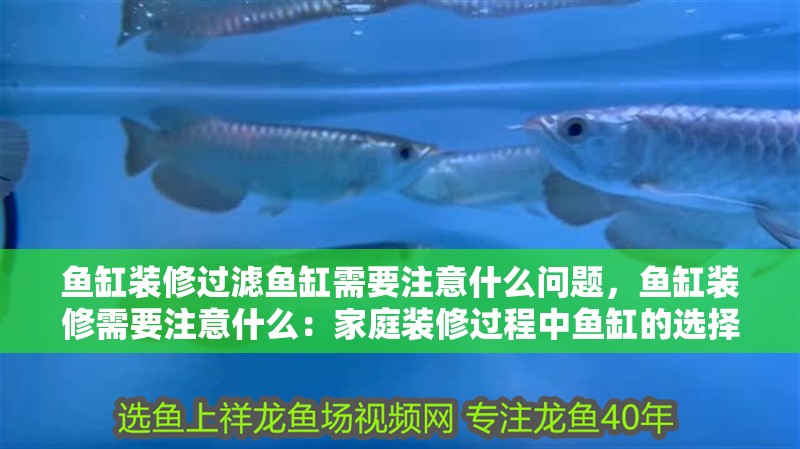 魚缸裝修過濾魚缸需要注意什么問題，魚缸裝修需要注意什么：家庭裝修過程中魚缸的選擇