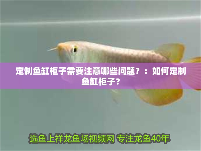 定制魚缸柜子需要注意哪些問(wèn)題？：如何定制魚缸柜子？