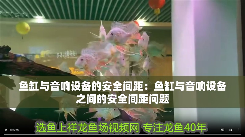 魚缸與音響設備的安全間距：魚缸與音響設備之間的安全間距問題