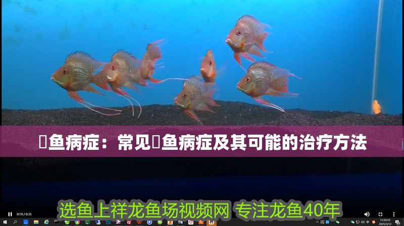 魟魚病癥：常見魟魚病癥及其可能的治療方法