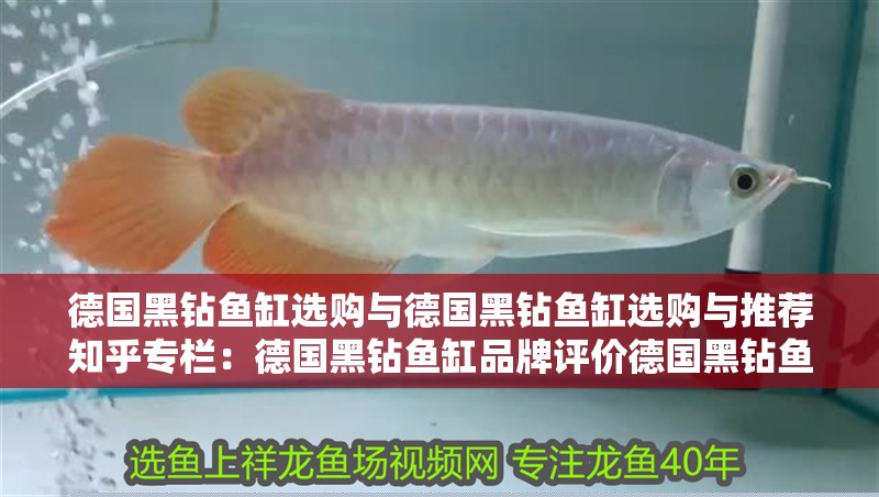 德國黑鉆魚缸選購與德國黑鉆魚缸選購與推薦知乎專欄：德國黑鉆魚缸品牌評(píng)價(jià)德國黑鉆魚缸質(zhì)量怎么樣