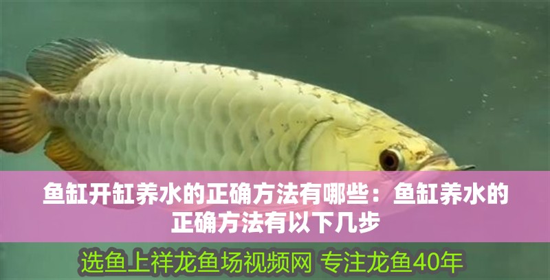 魚缸開缸養水的正確方法有哪些：魚缸養水的正確方法有以下幾步